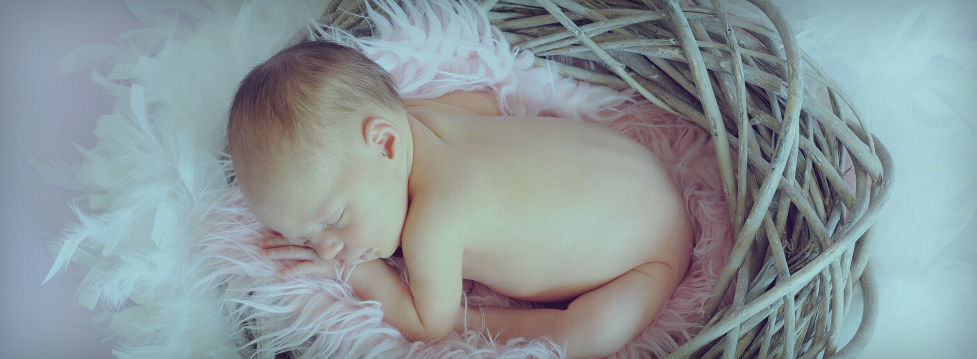 2016 Home Header Show