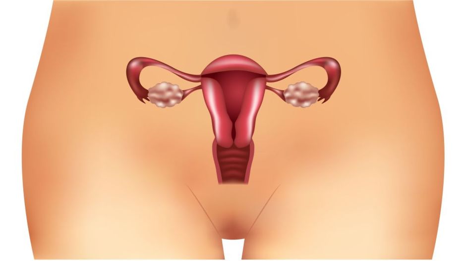 Терапевтични  възможности при  синдрома на поликистозните яйчници